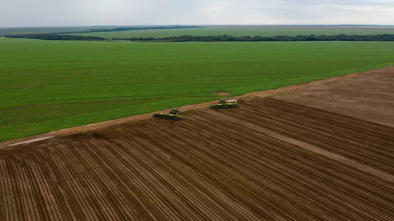 Plantio de soja no Brasil chega a 93,43% da área de 2022/23, diz Pátria AgroNegócios