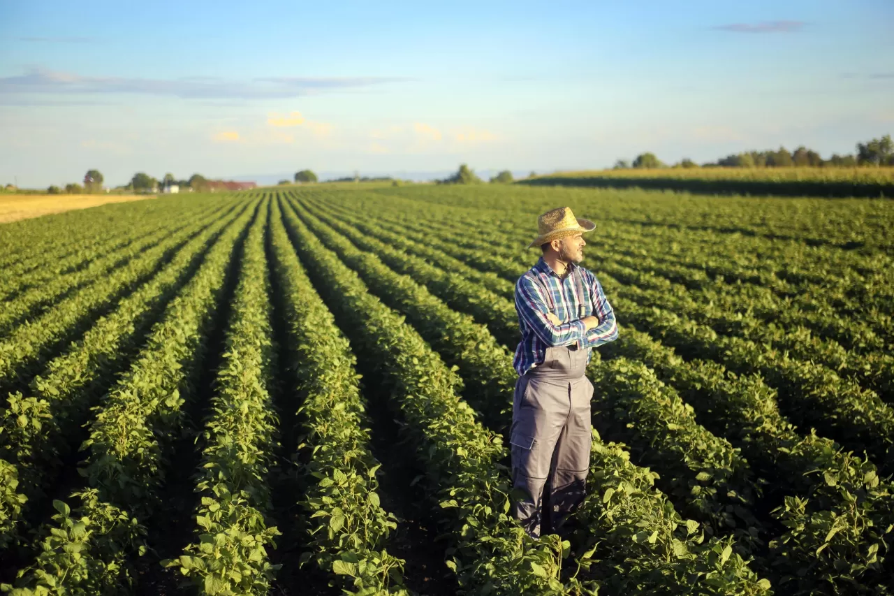 Quais são os rumos da Safra 2022/23?