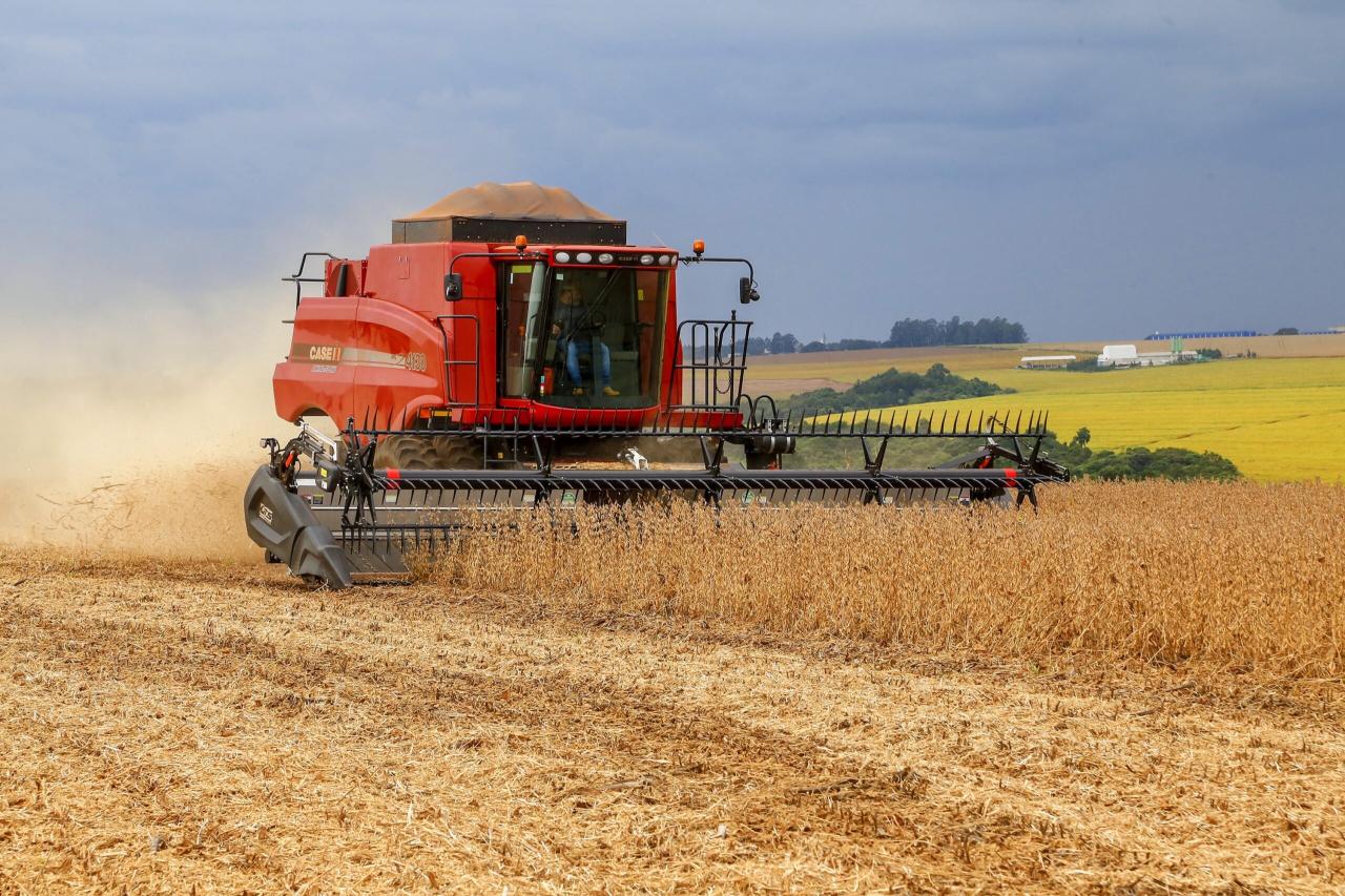 Safras de soja 21/22 e 22/23 têm preço médio de venda de R$ 168,34 e 176,03/saca, respectivamente
