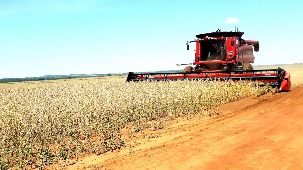 Soja 22/23: mais de 3,8 milhões de hectares já semeados em Mato Grosso do Sul