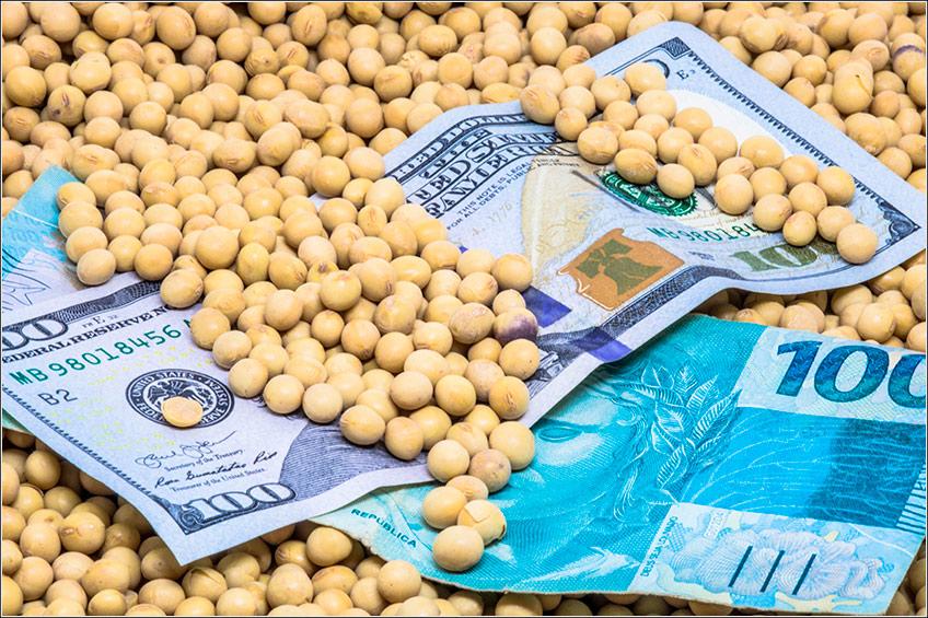 Soja acompanha demais commodities e opera em queda nesta 4ª feira na Bolsa de Chicago
