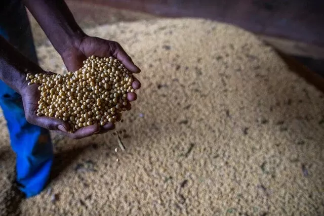 Soja: Brasil tem dia parado, com preços estáveis