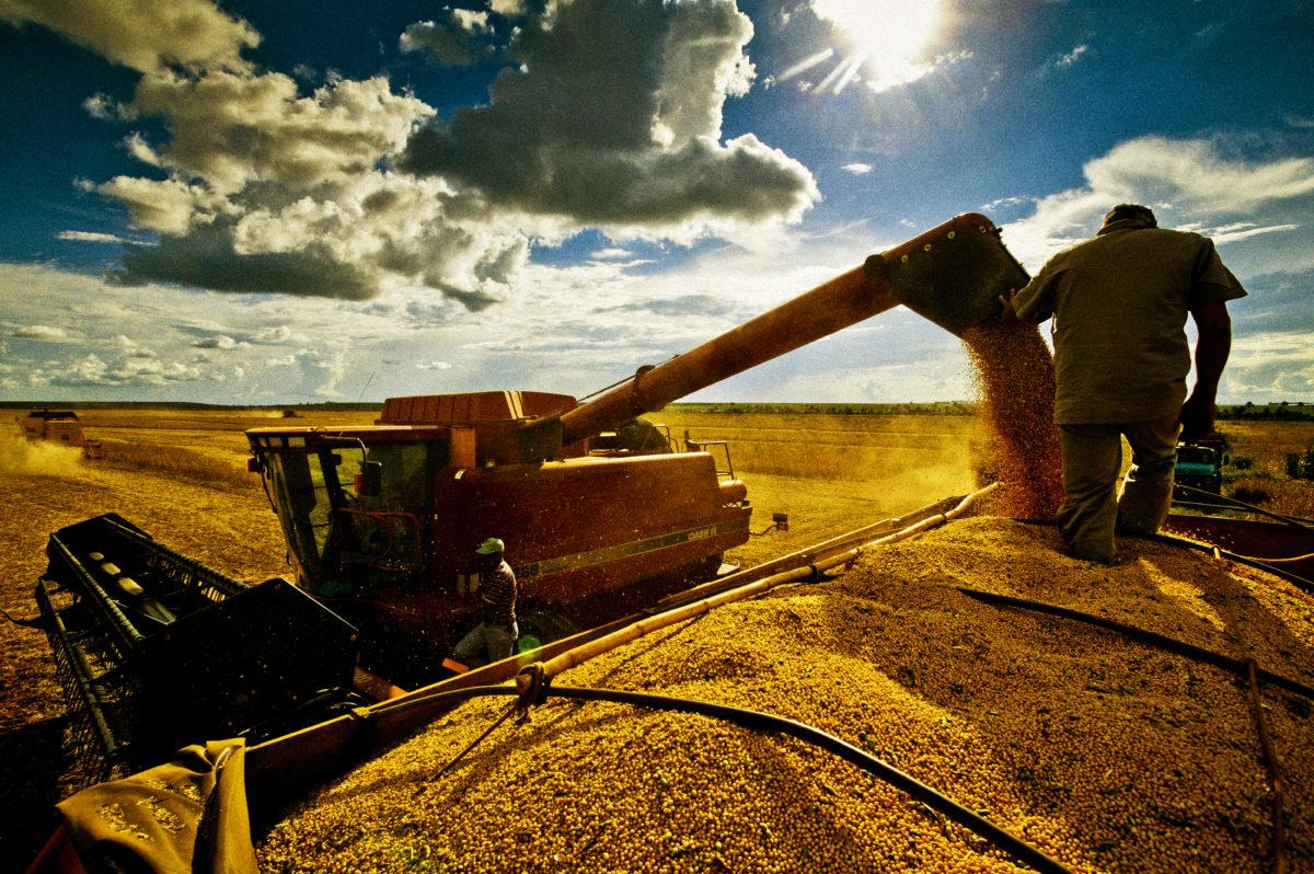 Soja: Mercado sobe em Chicago nesta 3ª feira e tem suporte no clima preocupante da Argentina