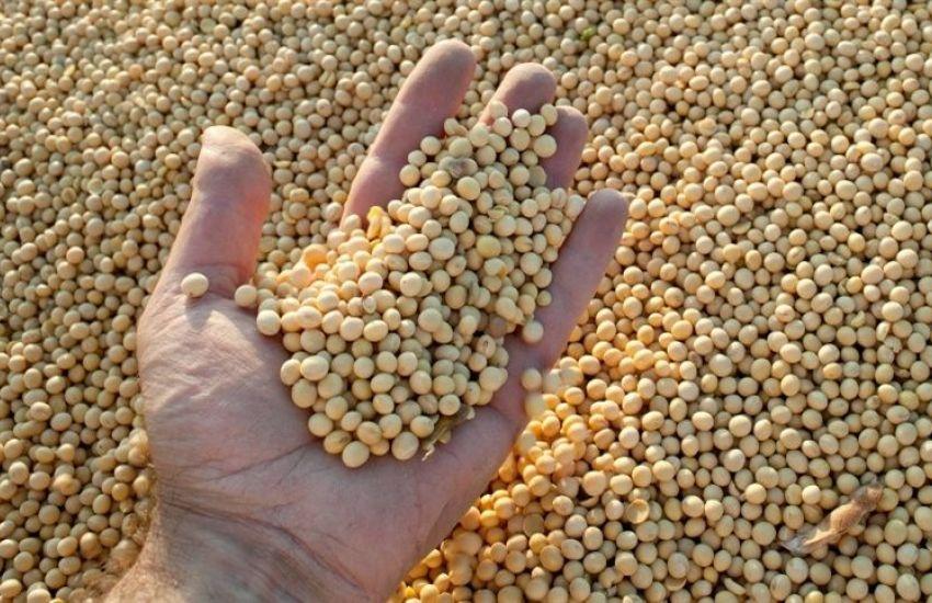 Soja testa ligeiros ganhos em Chicago nesta 6ª feira em negócios já em ritmo mais lento