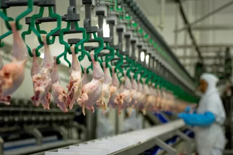 Agronegócio do Brasil é o maior exportador de carne de frango do mundo