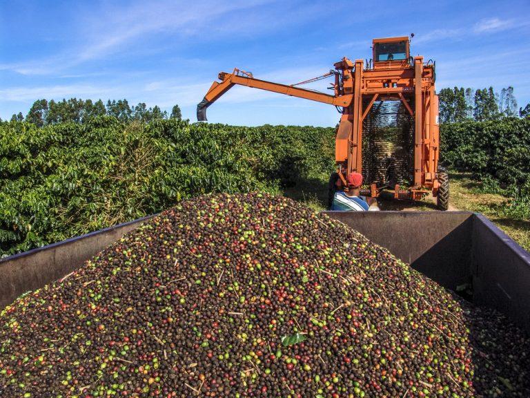 Agropecuária termina 2022 com segundo maior desempenho em 34 anos