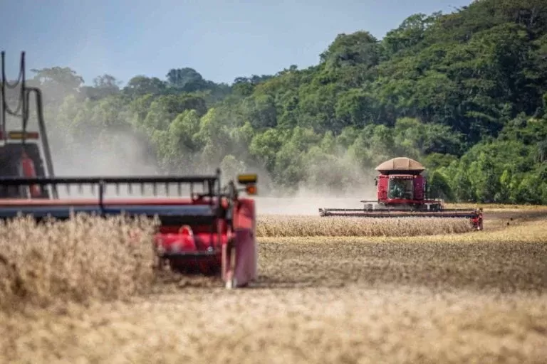 Anec eleva projeções de exportação de grãos e farelo de soja do Brasil em janeiro.