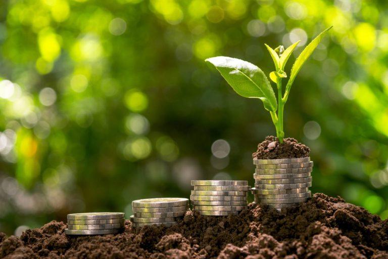 Após quebra de safra, Brasilseg planeja diluir resseguros no agronegócio.