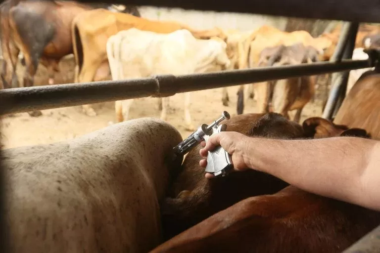 Autocontrole agropecuário: sancionado com vetos, tema volta para o Congresso