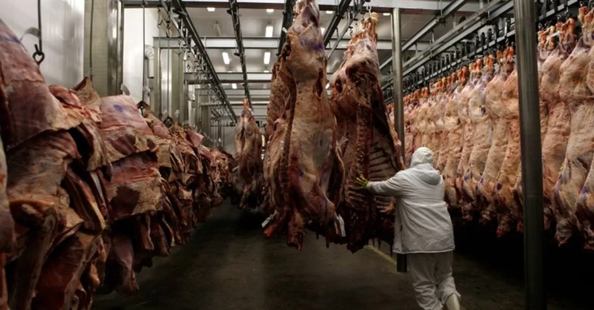 Carne bovina: embarques continuam em ritmo bom, mas preço médio recua em janeiro/23