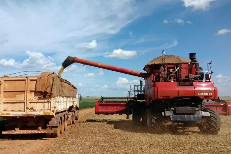 China compra 1,165 milhão de toneladas de milho do Brasil em 2022.