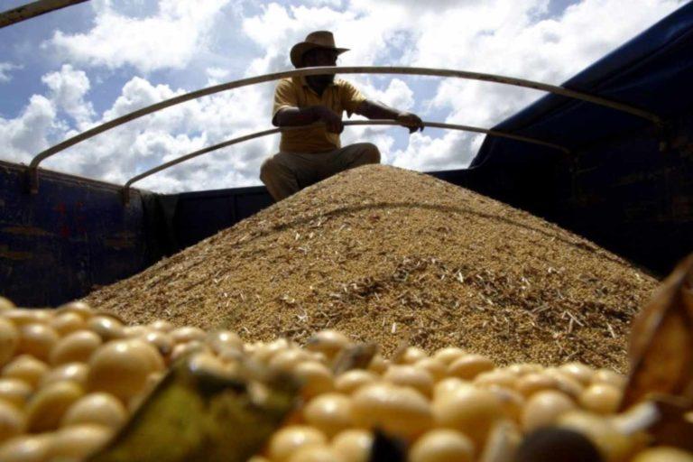 Conab reduz estimativas de safras de soja e milho do Brasil.