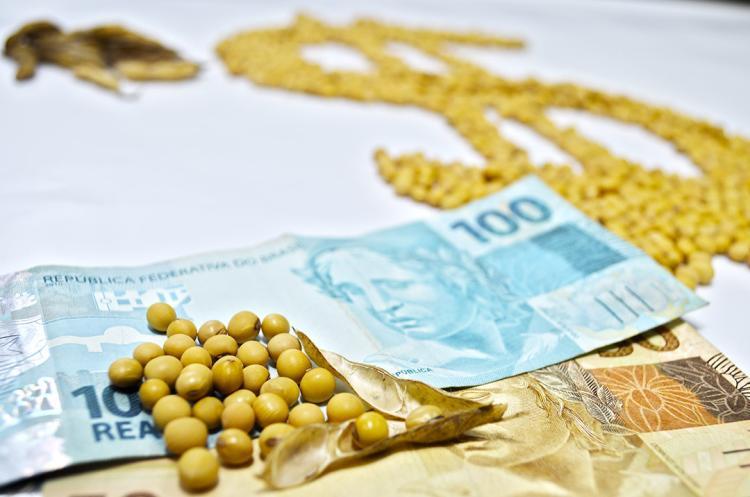 Crédito Rural para Mato Grosso do Sul somou R$ 12,4 bilhões no Plano Safra no segundo semestre de 2022