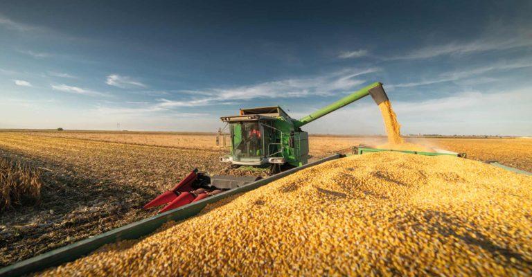 Faturamento com exportações de milho triplicam em 2022