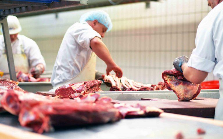 FGV: agroindústria cresce pelo 9º mês consecutivo em novembro