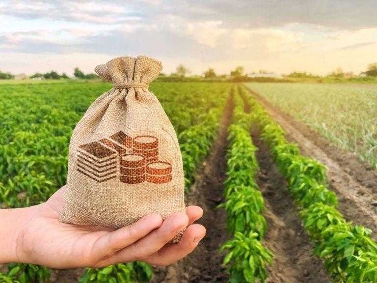 Fundos de investimento do agro crescem 550%