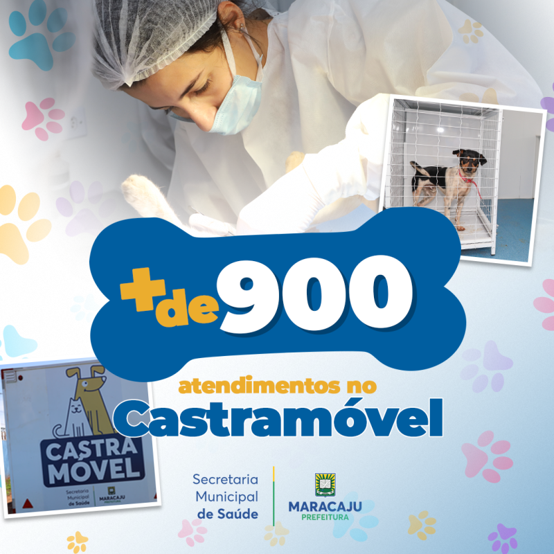 Mais de 900 castrações efetuadas em pouco mais de um ano, Castramóvel presta contas à população Maracajuense.