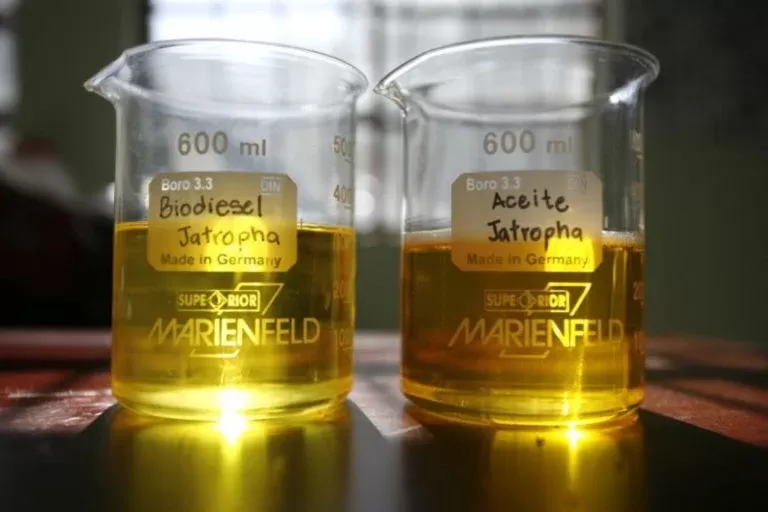 Negociação de biodiesel vai gerar lastro para emissão de CBios.