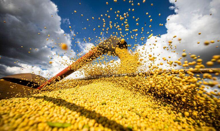 PIB da agropecuária pode crescer quase 7%