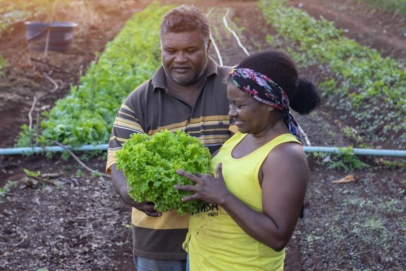 Produtores da Agricultura Familiar adquiriram conhecimento e profissionalizaram a produção com ações do Cidade Empreendedora