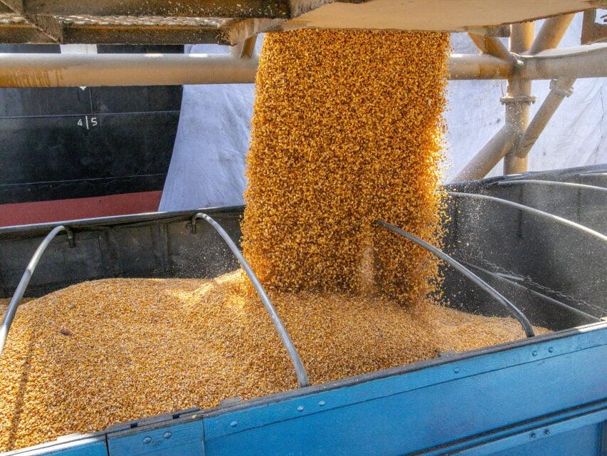 Receita com exportação de soja do Brasil cresce 20,8% em 2022; a de milho triplica