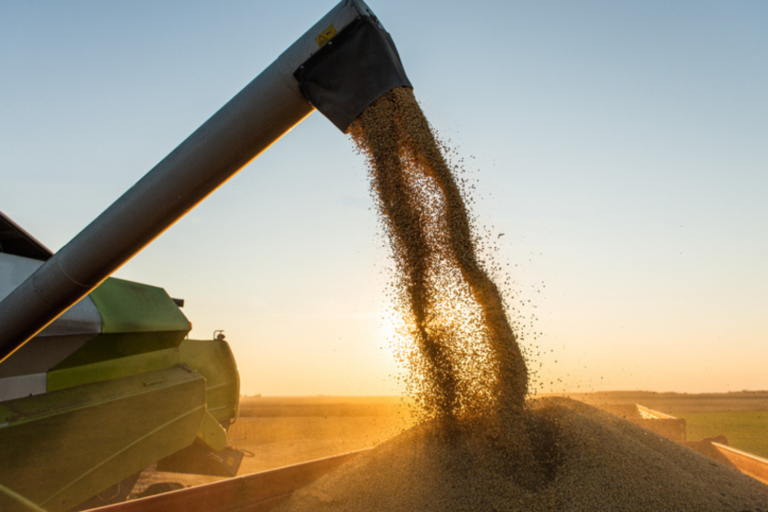 Safras reduz previsão de colheita de soja do Brasil por seca em RS.