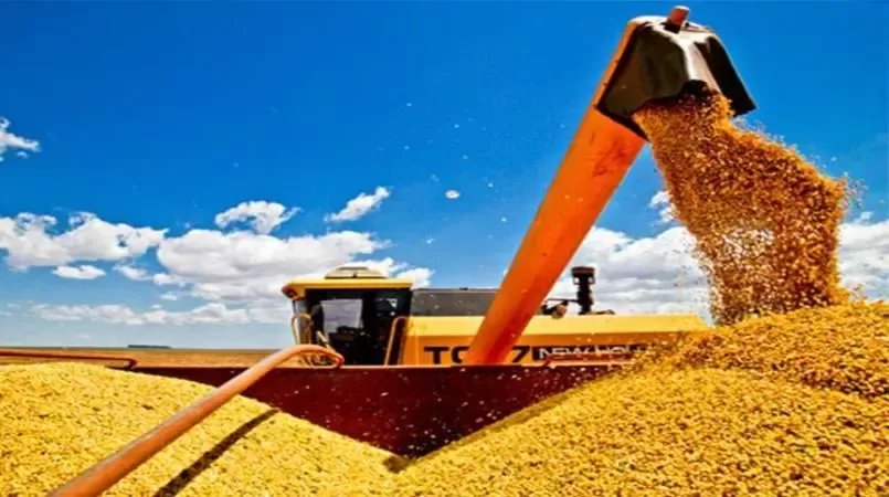 Soja: Mercado na defensiva tem última sessão da semana com estabilidade em Chicago
