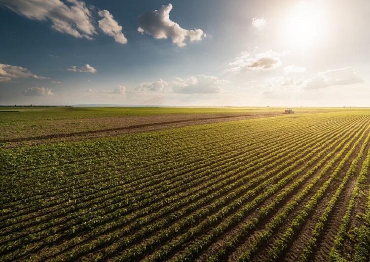 Valor da Produção Agropecuária fecha 2022 em R$ 1,189 trilhão