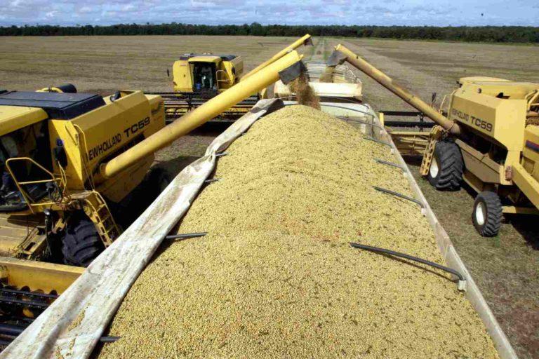 Venda de soja do Brasil 2022/23 avança a 28,5% do total.