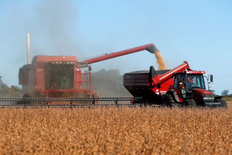 Vendas de soja argentina atingem 80,1% da safra 2021/22, diz governo.