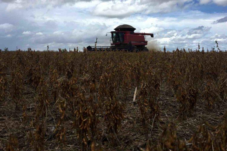 Agroconsult reduz previsão de safra para 153 milhões de toneladas.
