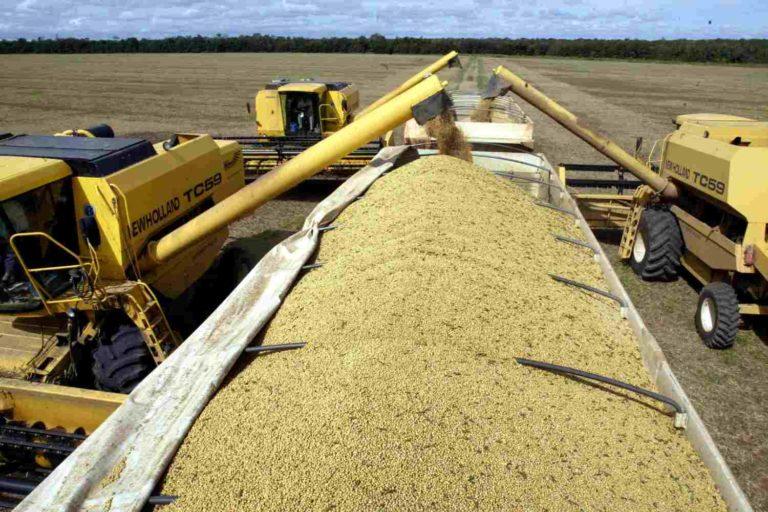 Colheita de soja atinge 30% da área no Brasil e tem leve atraso ante média.