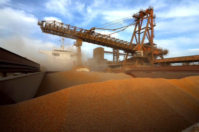 Com abertura da China, Brasil tem faturamento recorde com exportação de milho