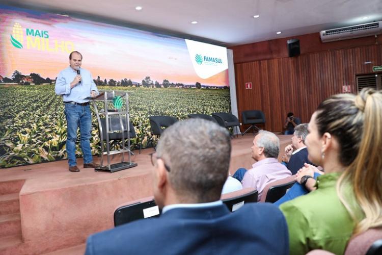 Com projeção de avanço na área plantada, milho deve alcançar 11,2 milhões de toneladas em MS