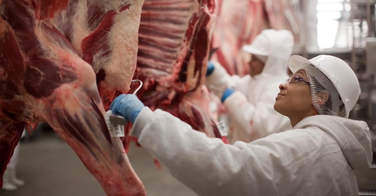 Exportações de carne bovina in natura em jan/23 atingiram um novo recorde para o mês