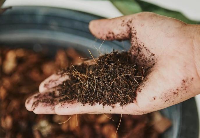 Fertilizantes: agricultor vive momento positivo para compra, aponta Mosaic
