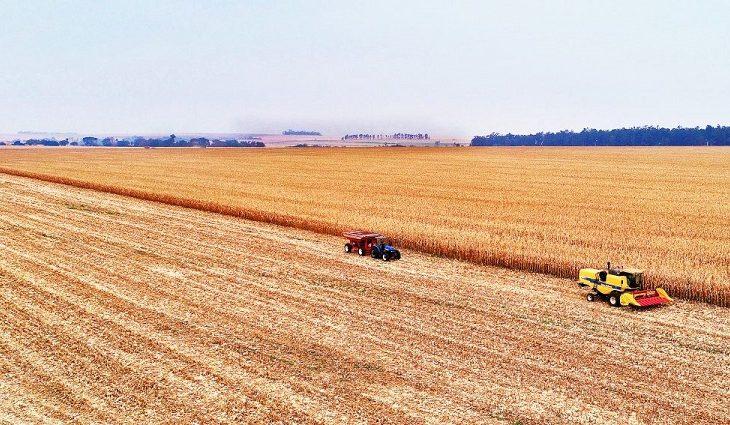 Mato Grosso do Sul foi o terceiro estado do Brasil que mais gerou vagas no agronegócio