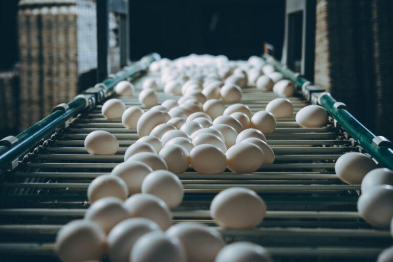 Quaresma pode inflacionar preços dos ovos