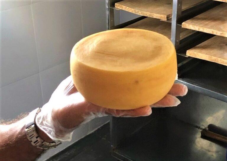 Queijos brasileiros estão entre os melhores do mundo