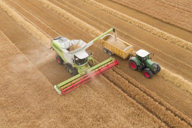Valor Bruto da Produção Agropecuária deve ser recorde neste ano com R$ 1,265 trilhão.