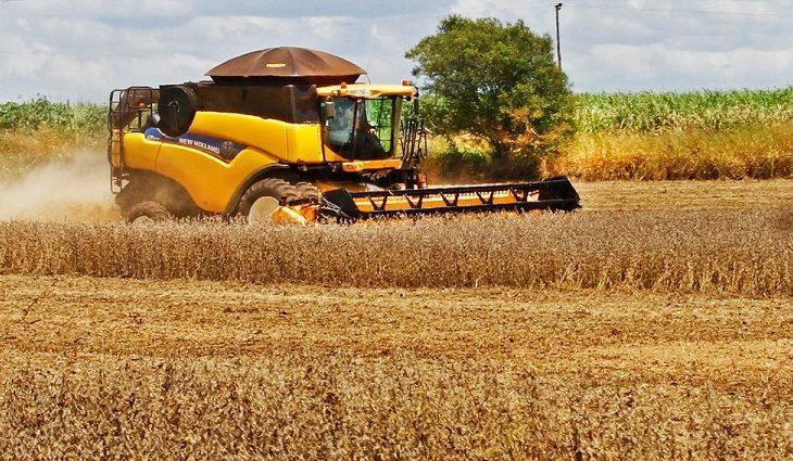 Valor Bruto da Produção pode subir 9,7% e superar os R$ 77 bilhões em MS