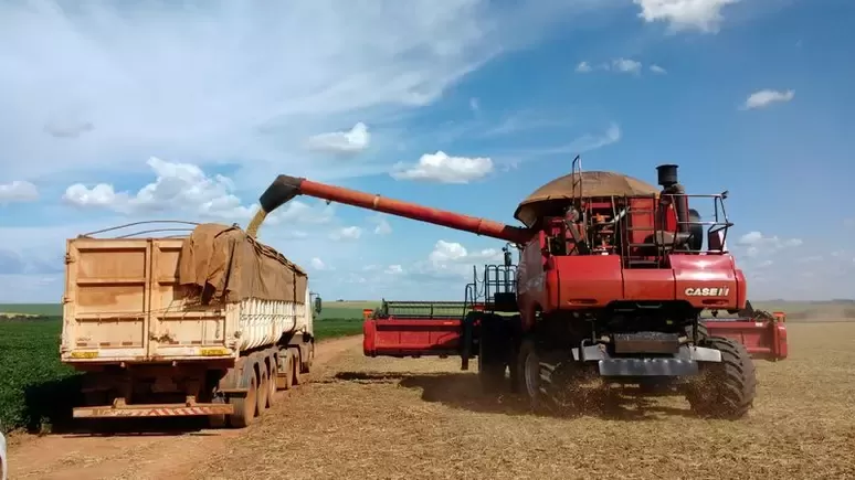 Venda de soja 22/23 do Brasil atinge 30,5% da produção e atraso persiste, diz Safras.