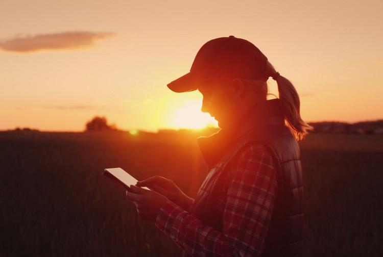 Com 134 mil mulheres no campo, presença feminina se destaca no agro em MS