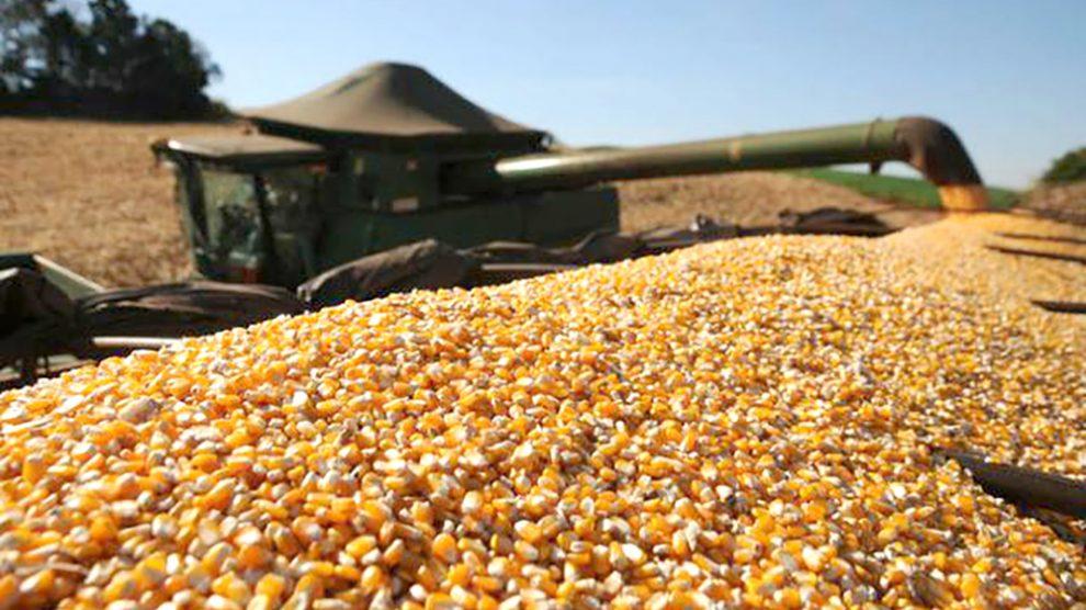 Exportação de milho do Brasil tem maior volume para fevereiro desde 2016.