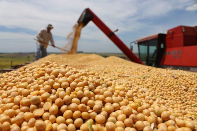 Safra brasileira de grãos deve atingir 309,89 milhões de toneladas