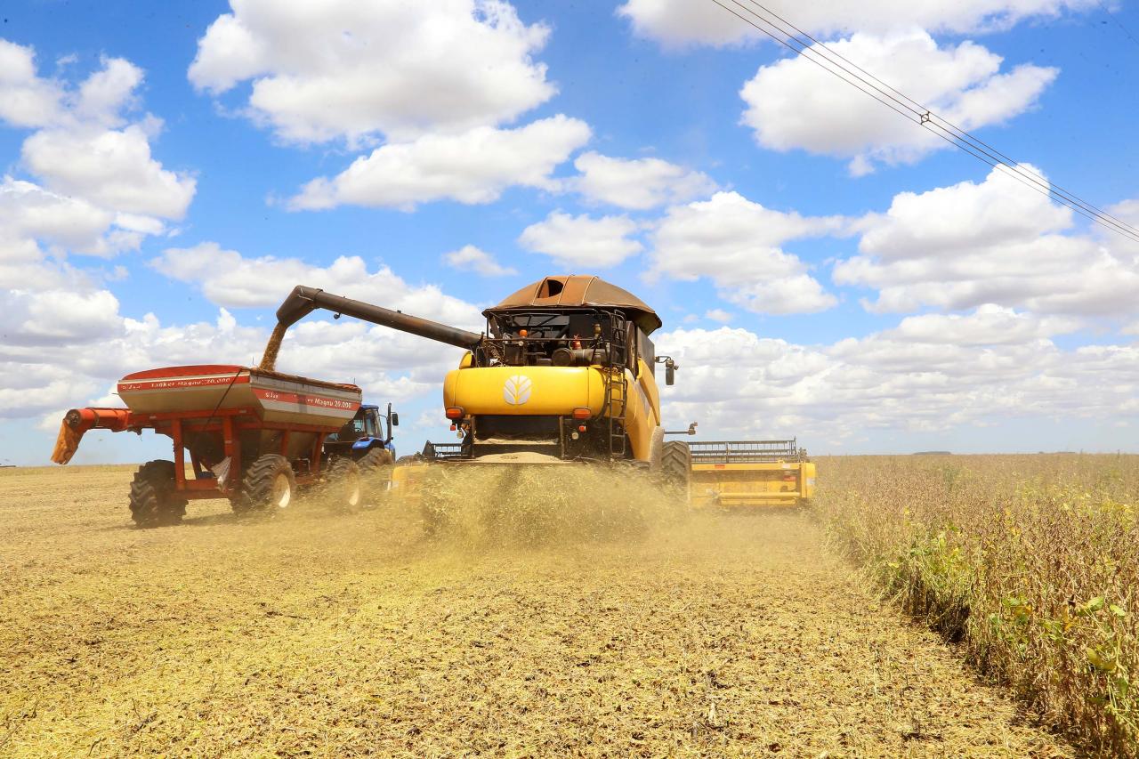 AgRural: Colheita de soja chega a 76% da área no Brasil