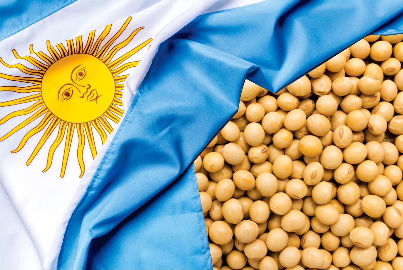 Bolsa de Rosário faz novo corte em projeções de soja e milho da Argentina