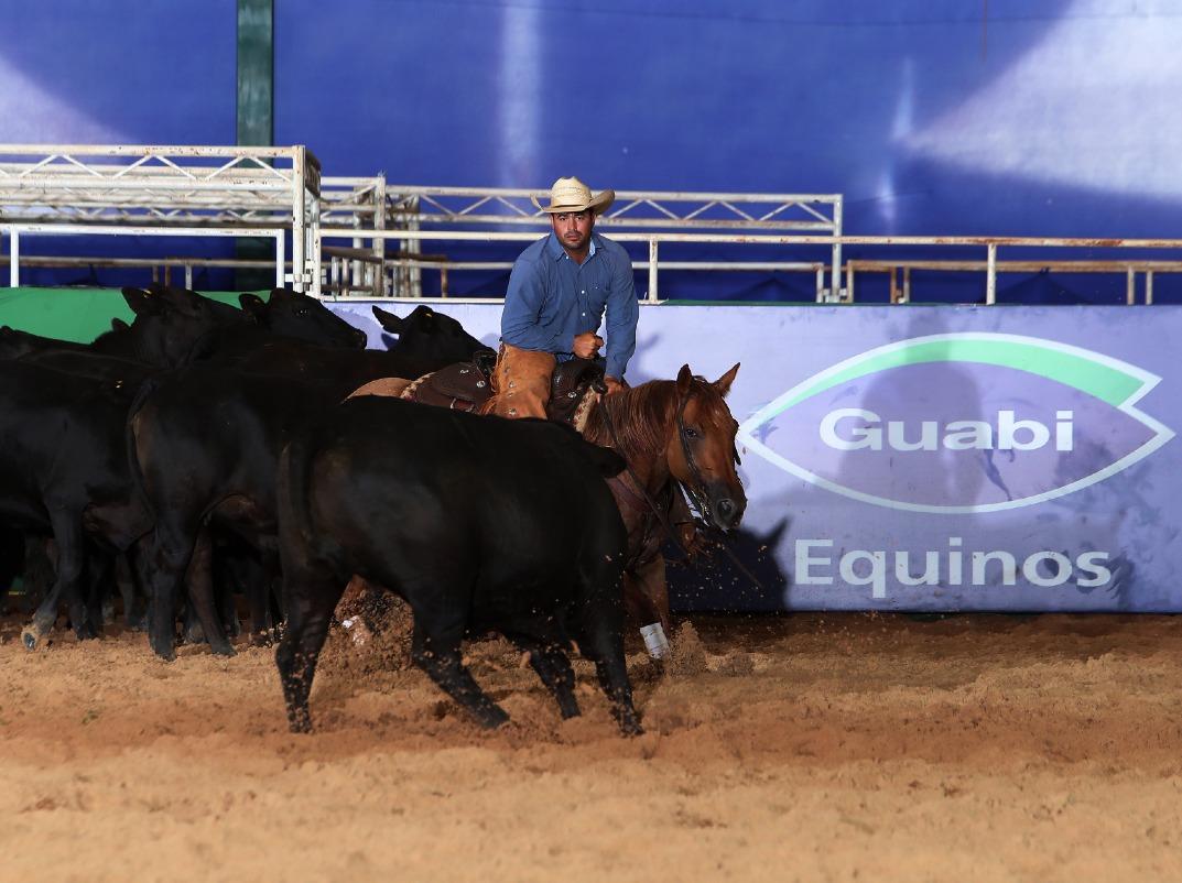 Criadores de Quarto de Milha já devem planejar nutrição para estação de monta