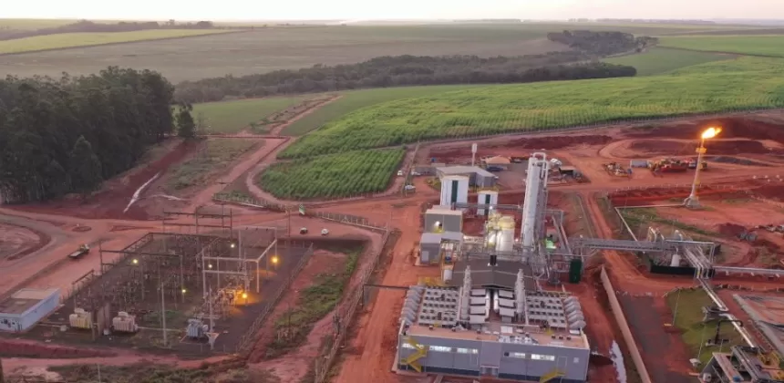 Investimento em biogás reduz custos para o suinocultor