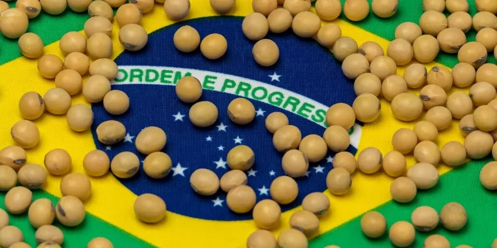 Soja/Cepea: Preço da soja sobe no BR; exportação de março é recorde para o mês